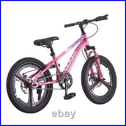 20 Inch Bike Kids Boys Girls Front Suspension Mountain Bike Bicycle Pink Blue