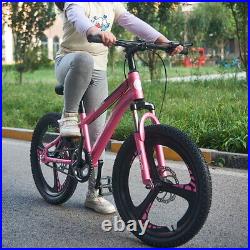 20 inch Children Kids Girls Pink Bike Bicycle Outdoor Cycling Disc Brake Xmas UK