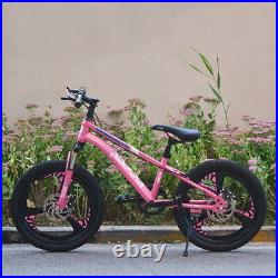 20 inch Kids Bike Children Girls Pink Bicycle Cycling Front Suspension Xmas Gift