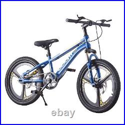 20 inch Wheels Kids Bike Boys Blue Bicycle Cycling Riding Outdoor With Disc Brake