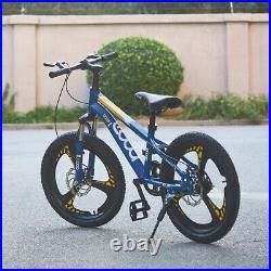 20 inch Wheels Kids Bike Boys Blue Bicycle Cycling Riding Outdoor With Disc Brake