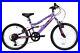 Basis_Princess_20_Girls_Bicycle_Kids_Mountain_Bike_Dual_Suspension_MTB_Purple_01_sx