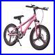 NEW_Kids_Bike_20_inch_Children_Boys_Girls_Bicycle_Cyclings_Disc_Brake_Outdoor_01_eygn