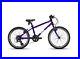 Purple_Frog_52_Lightweight_Kids_Bike_01_wwwz