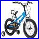 Royalbaby_Freestyle_16_Kids_Stabilizer_Bicycle_for_Boys_and_Girls_Blue_01_uj